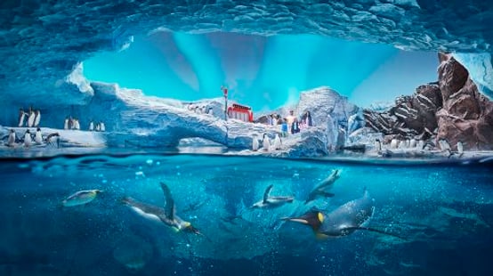 SeaWorld® Yas Island