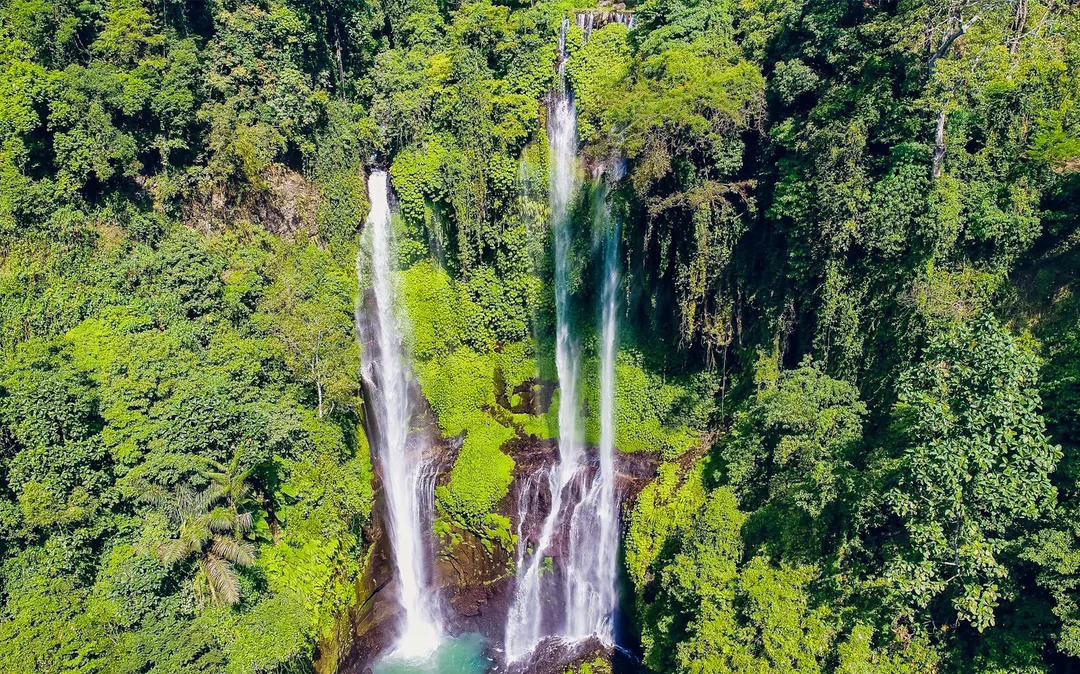 Sekumpul Waterfall & Temple Small-Group Tour: Ulun Danu Bratan, Taman Ayun Temple Image 4