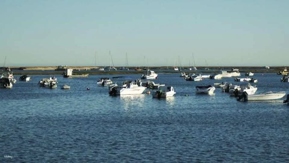 Self-guided Discovery Walk Faro's statues, ships and sanctuaries