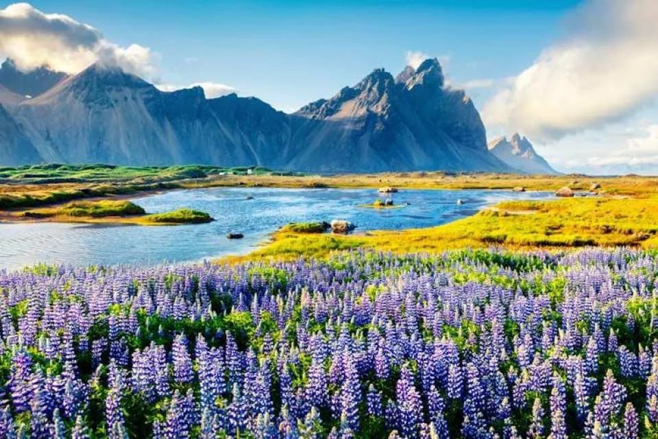 Self Guided Driving Audio Tour of Iceland Golden Circle
