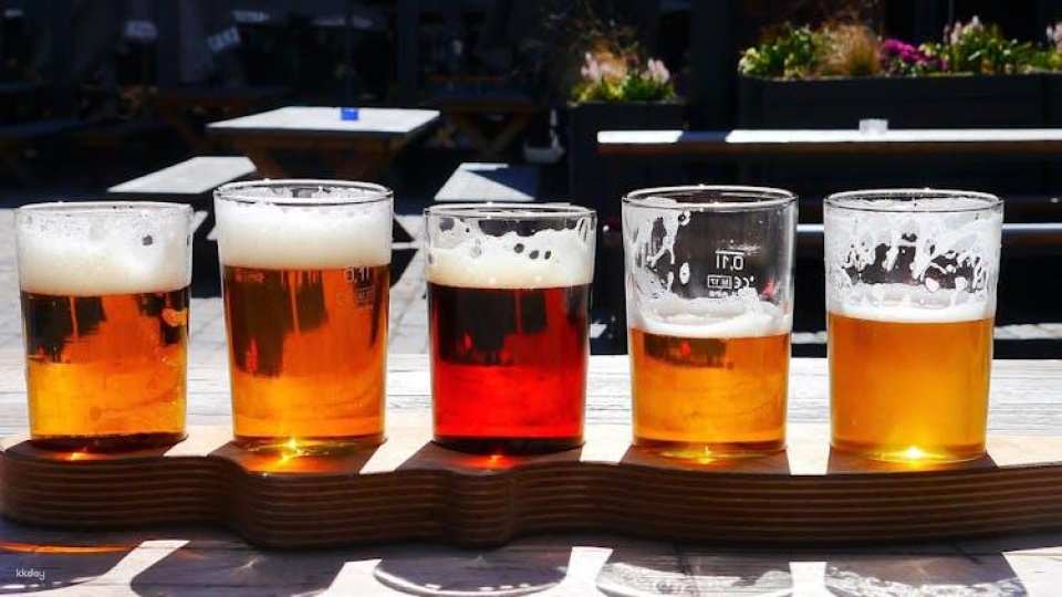 Self-guided interactive pub trail in Leeuwarden with online app