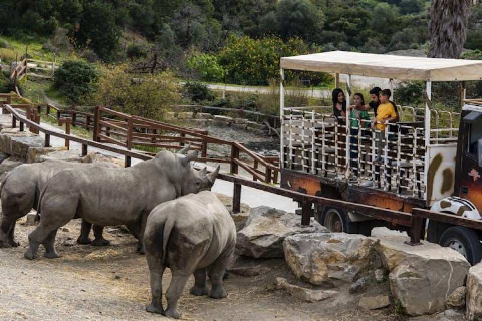 Selwo Aventura Estepona Park Entrance Tickets
