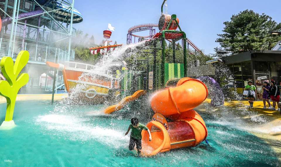 Seoul, South Korea｜Seoul Land, Seoul Zoo, Sky Lift Ticket Package