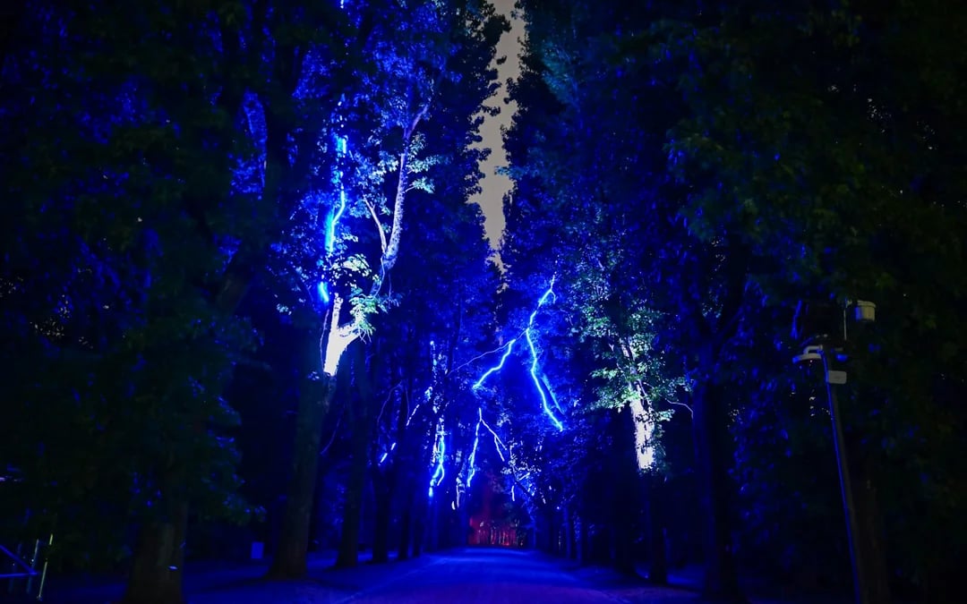Serralves in Light 2026 Tickets Image 11