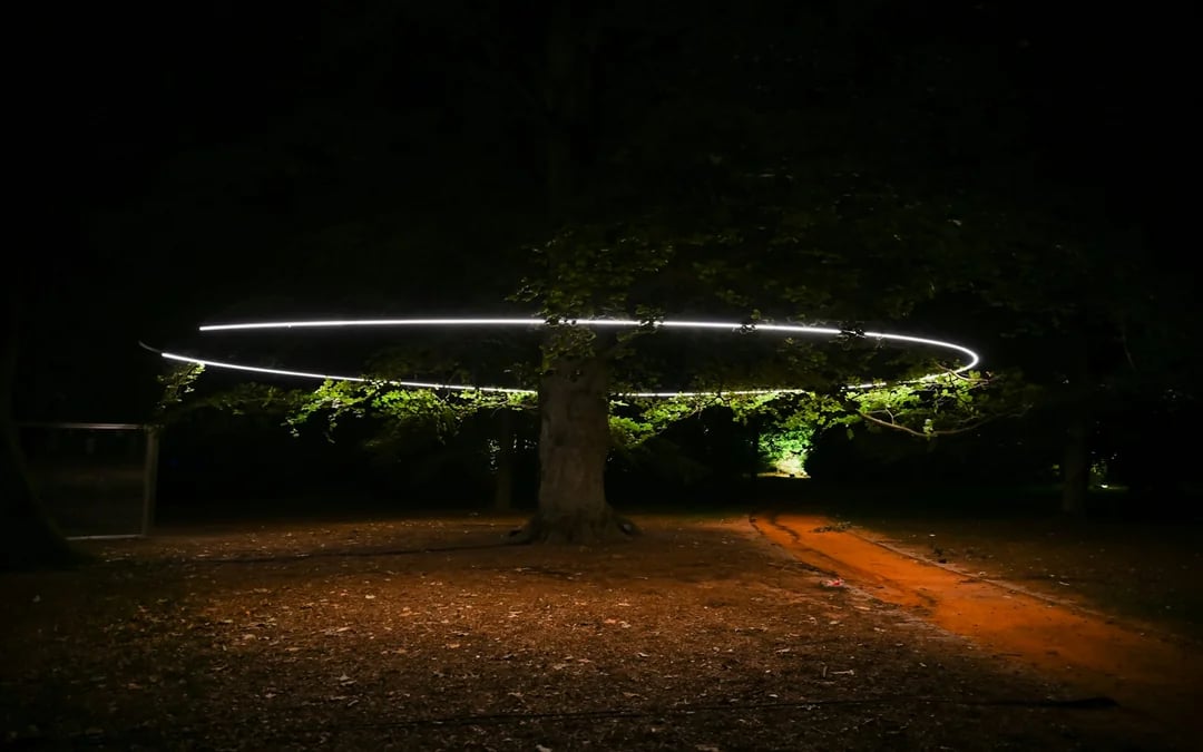 Serralves in Light 2026 Tickets Image 12