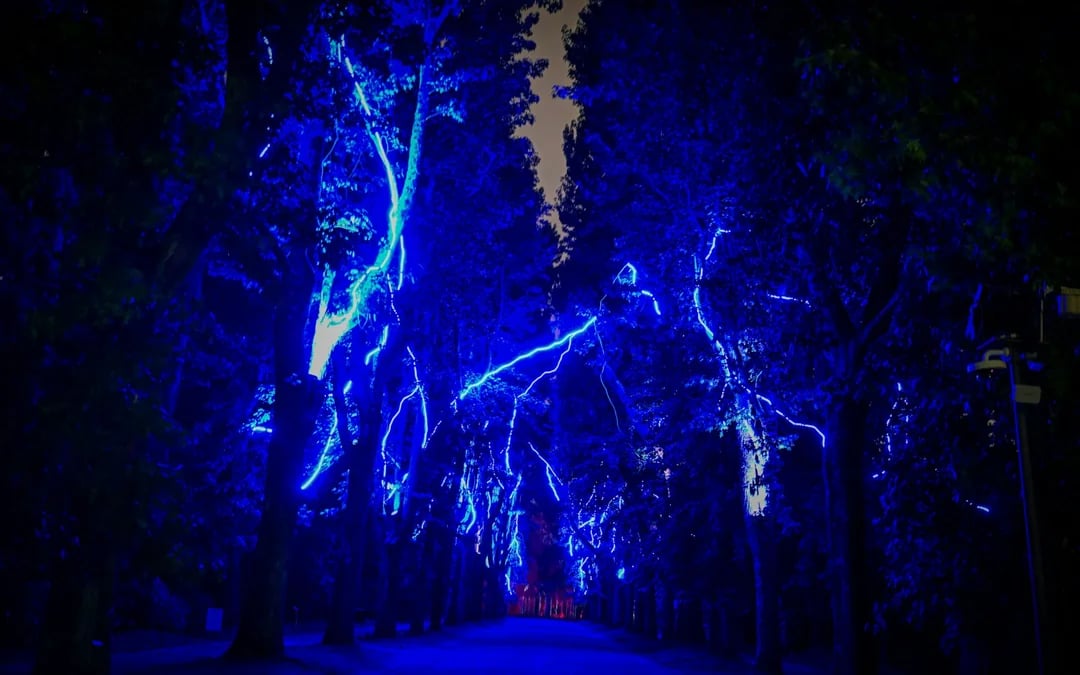Serralves in Light 2026 Tickets Image 3