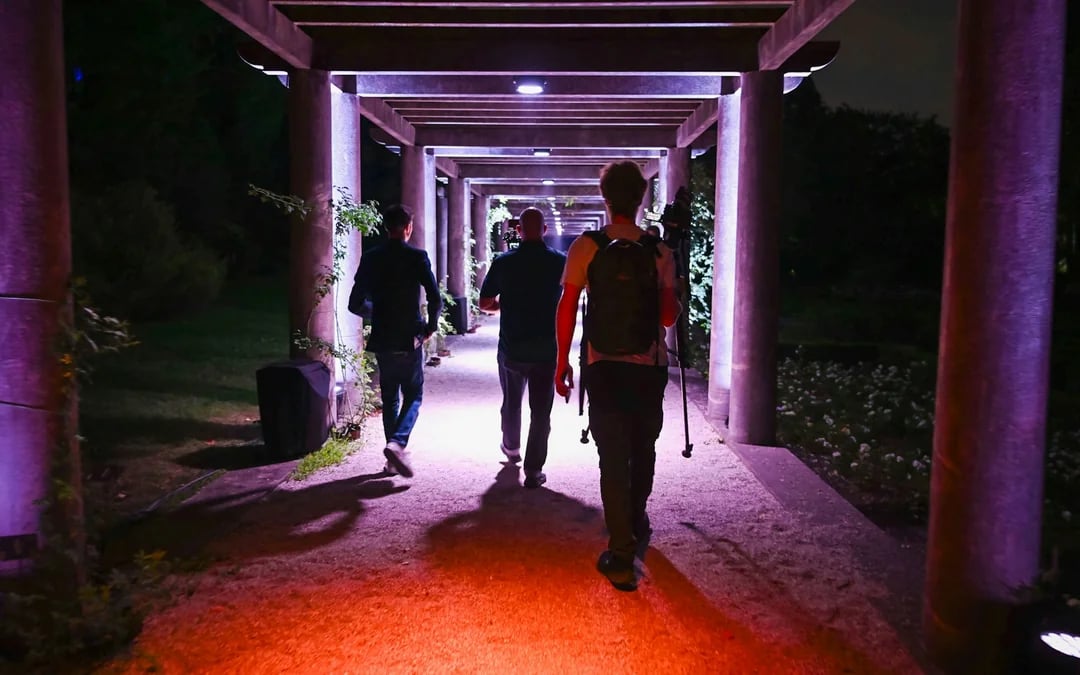 Serralves in Light 2026 Tickets Image 4