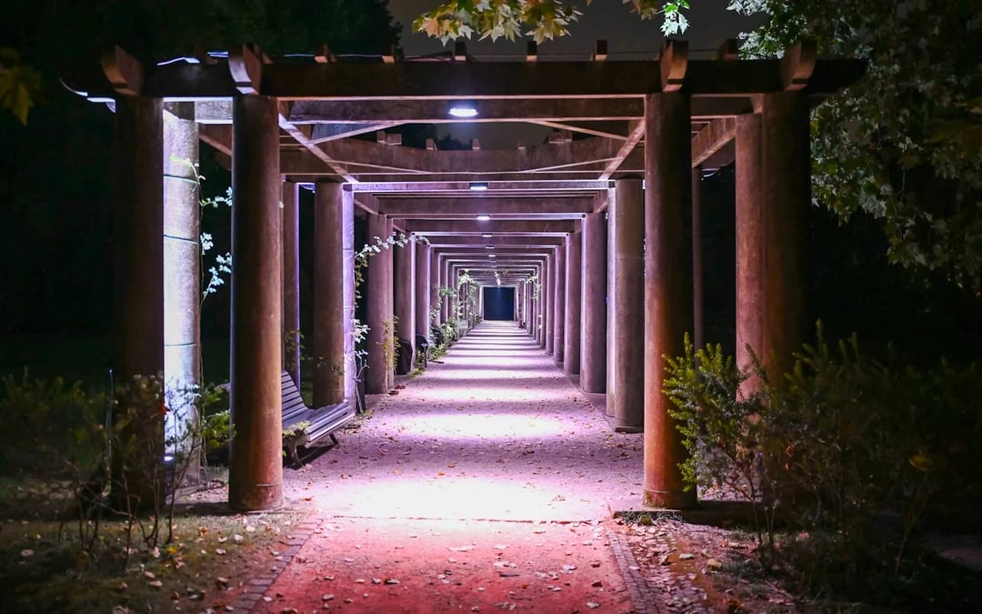 Serralves in Light 2026 Tickets Image 8