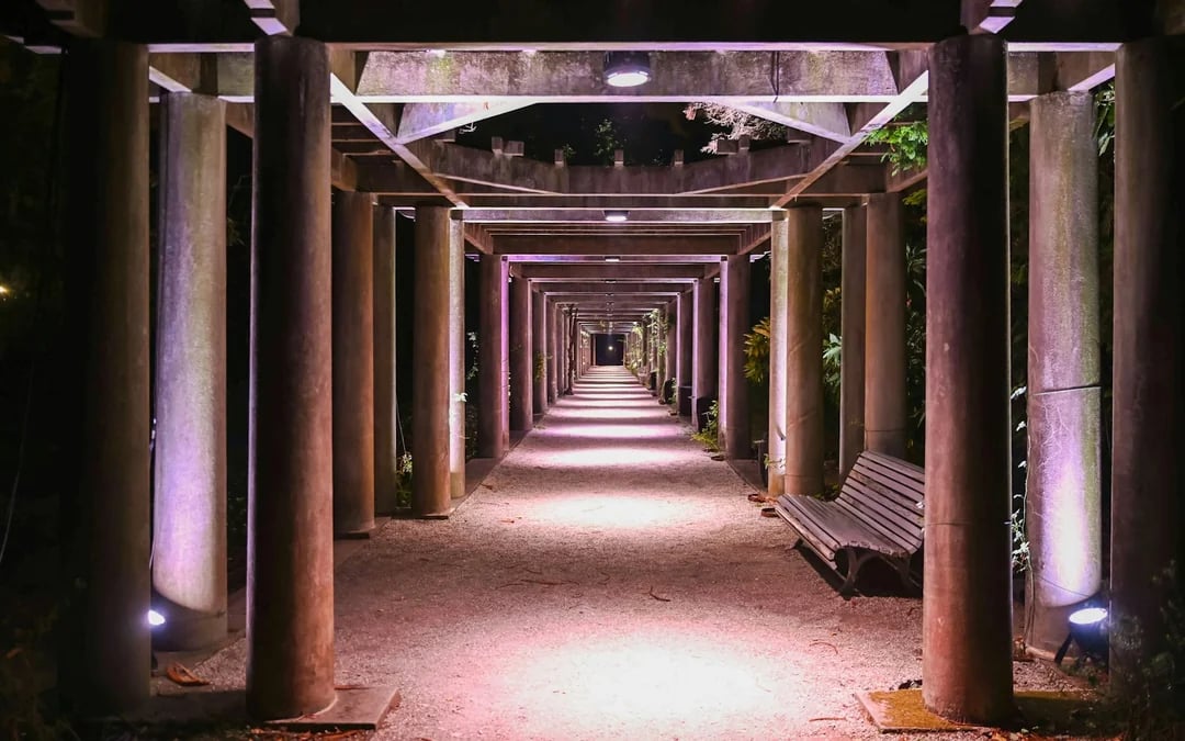 Serralves in Light 2026 Tickets Image 9