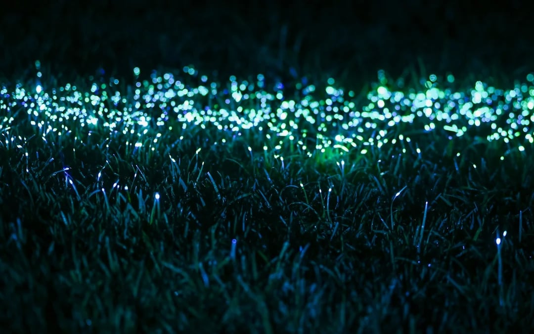 Serralves in Light 2026 Tickets Image 10