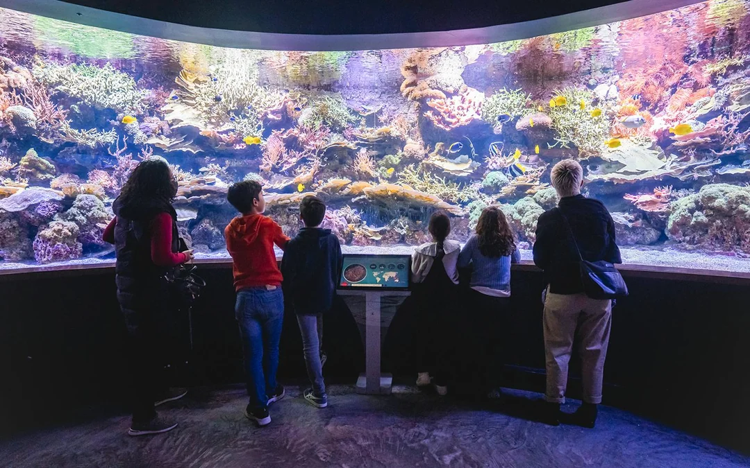 Seville Aquarium Tickets Image 1