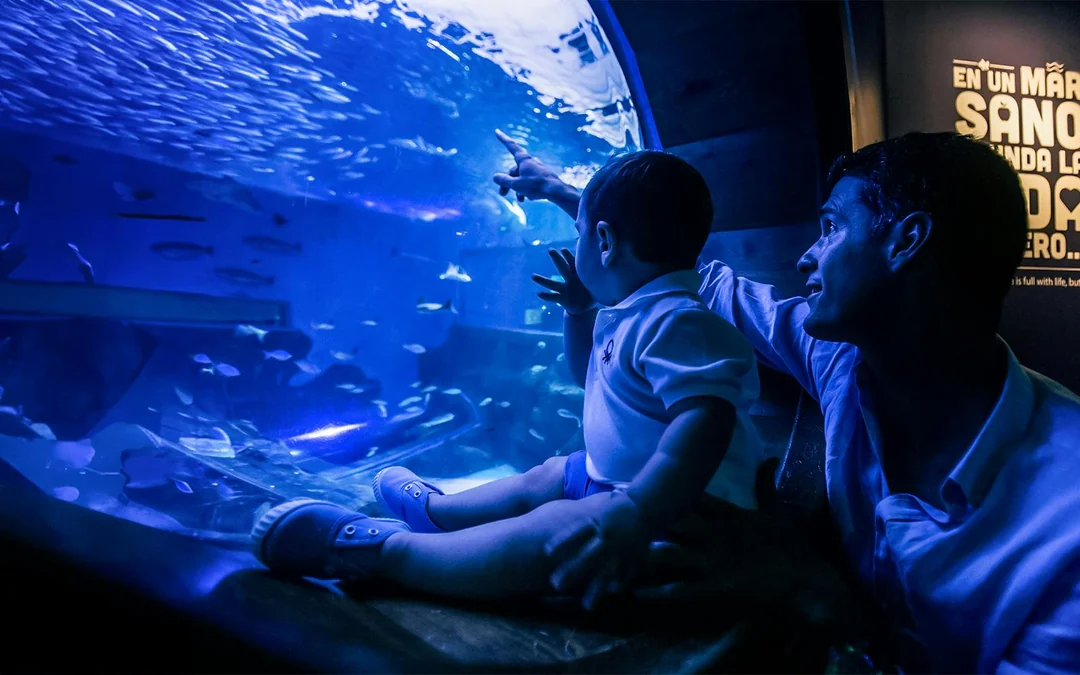 Seville Aquarium Tickets Image 2