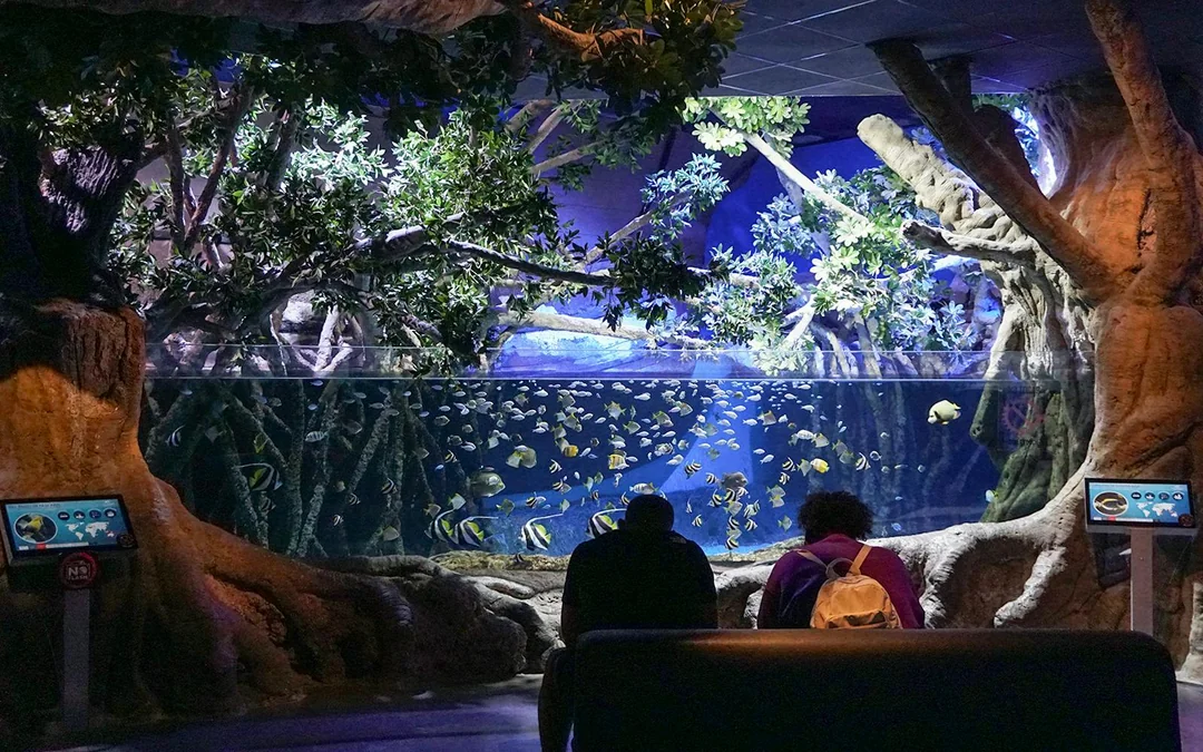 Seville Aquarium Tickets Image 3