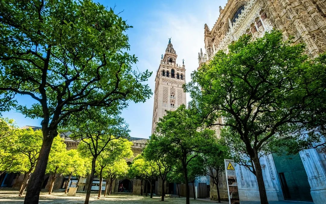 Seville Cathedral & La Giralda Priority Access Guided Tour Image 3