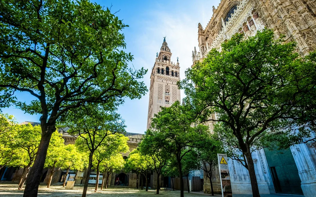 Seville Cathedral & La Giralda Priority Access Guided Tour Image 3