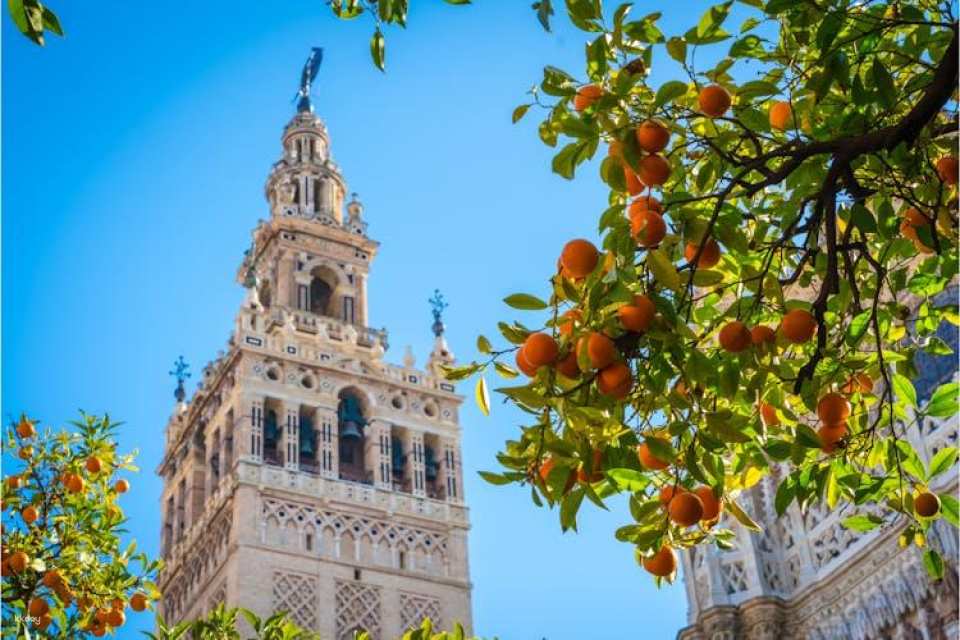 Seville cathedral ticket with audio guide and augmented reality