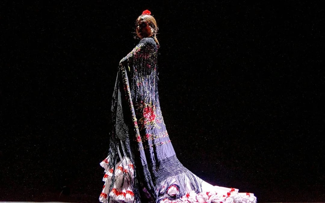 Seville Flamenco Theatre - Passion Show Image 8