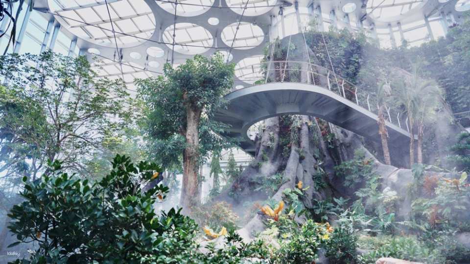 【China】Shanghai Greenhouse Garden