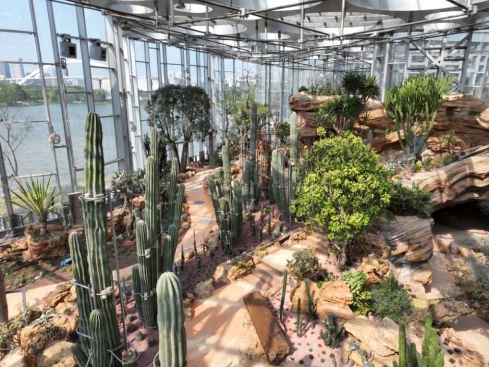 【China】Shanghai Greenhouse Garden