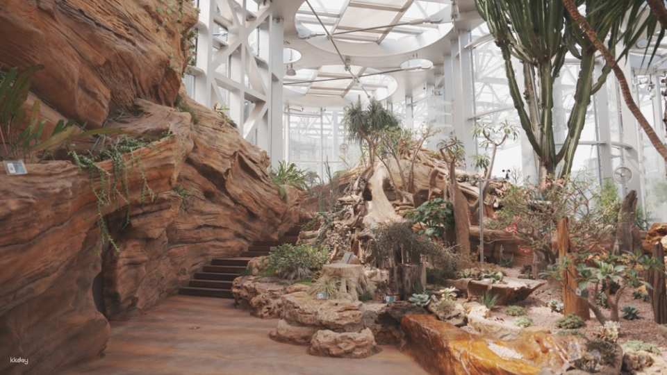 【China】Shanghai Greenhouse Garden