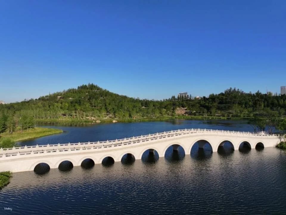 【China】Shanghai Greenhouse Garden