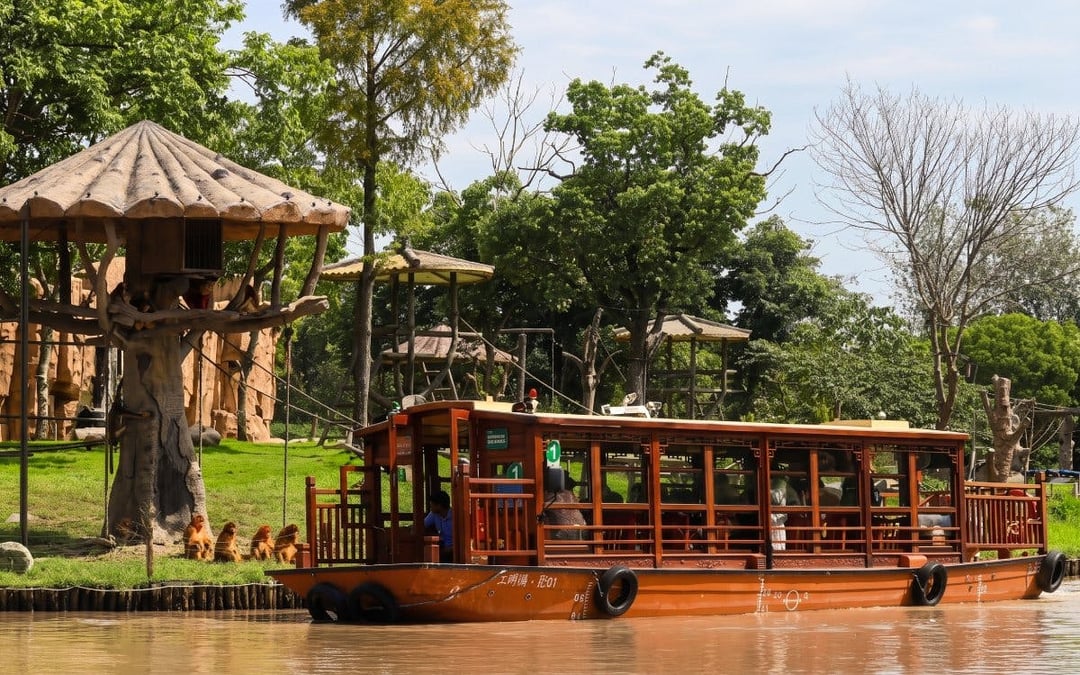 Shanghai Wild Animal Park Private Guided Tour with English-Speaking Guide and Transfers Image 5