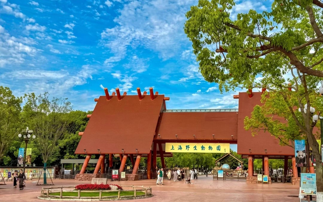 Shanghai Wild Animal Park Private Guided Tour with English-Speaking Guide and Transfers Image 7
