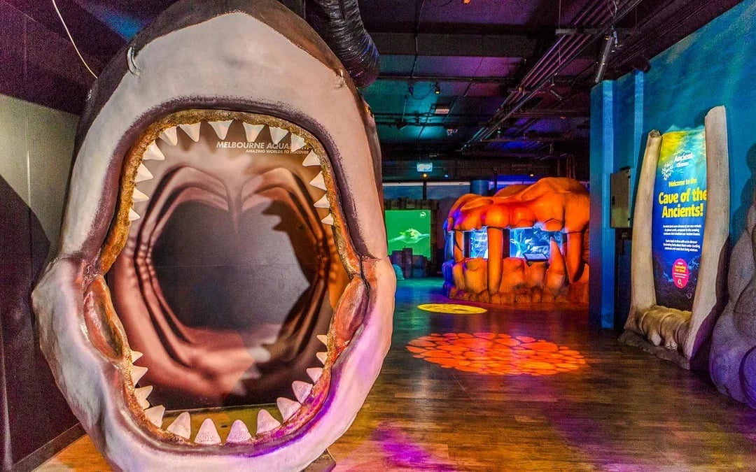 Shark Dive Xtreme Tickets at SEA LIFE Melbourne Aquarium Image 7