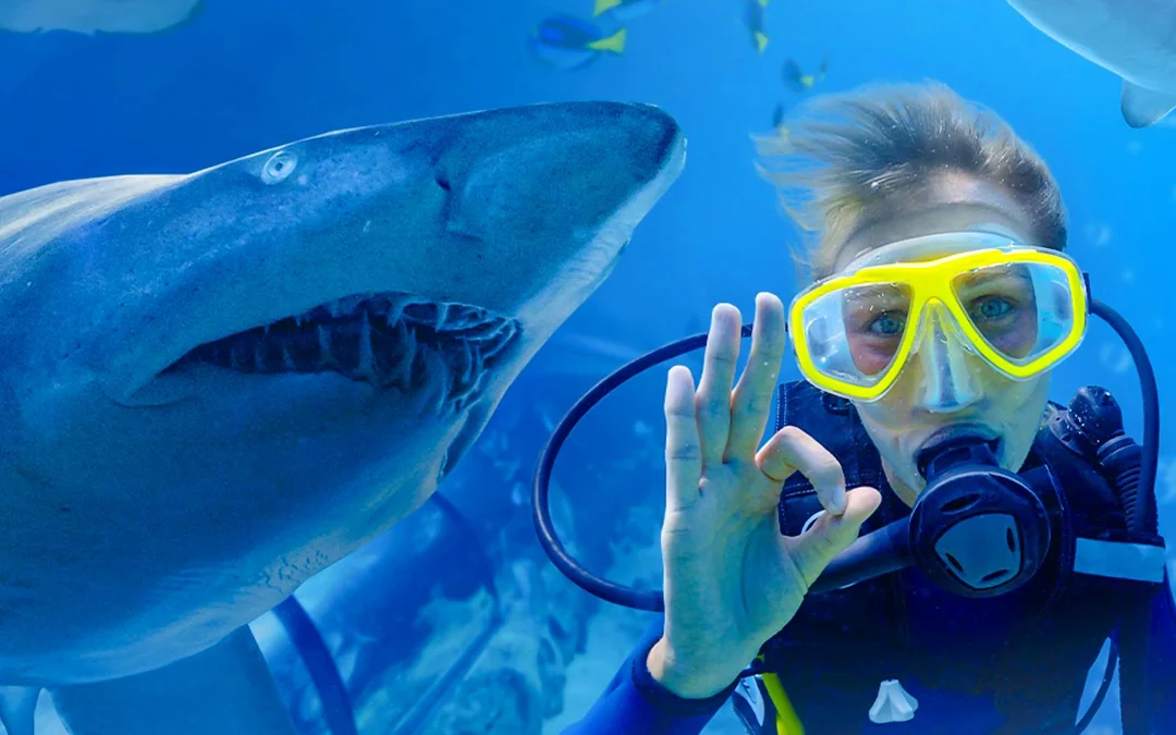 Shark Dive Xtreme Tickets at SEA LIFE Sydney Aquarium Image 3