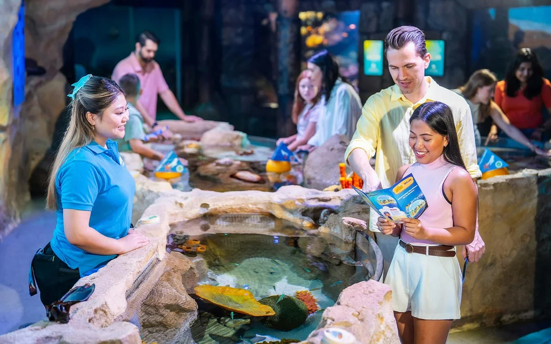 Shark Dive Xtreme Tickets at SEA LIFE Sydney Aquarium Image 10