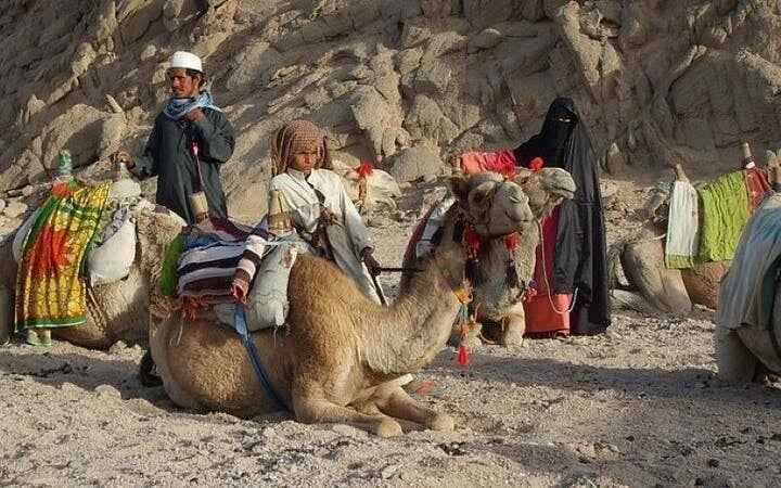 Sharm El Sheikh Desert Safari: Quad Biking, Camel Ride, Bedouin Village Visit, and Hotel Transfers Image 6