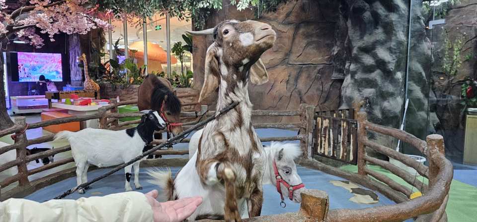 Shenzhen, China｜Ye En Animal Park Tickets (Longgang Wanda Plaza Store)