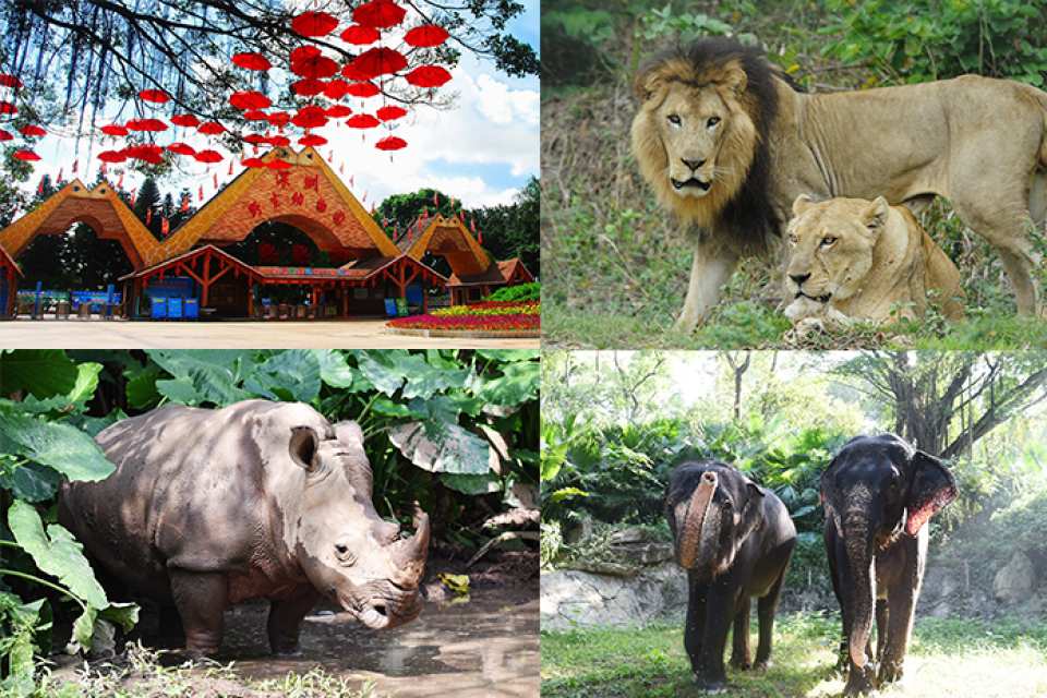 Shenzhen Safari Park Tickets (e-ticket) | For non-Mainland China residents only | Unlimited access to 7 designated attractions | KKday exclusive offer