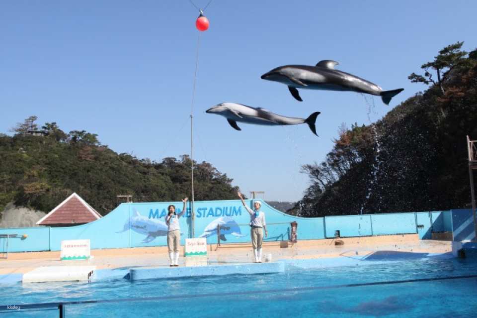 Shimoda Aquarium Admission Ticketď˝Shizuoka, Japan