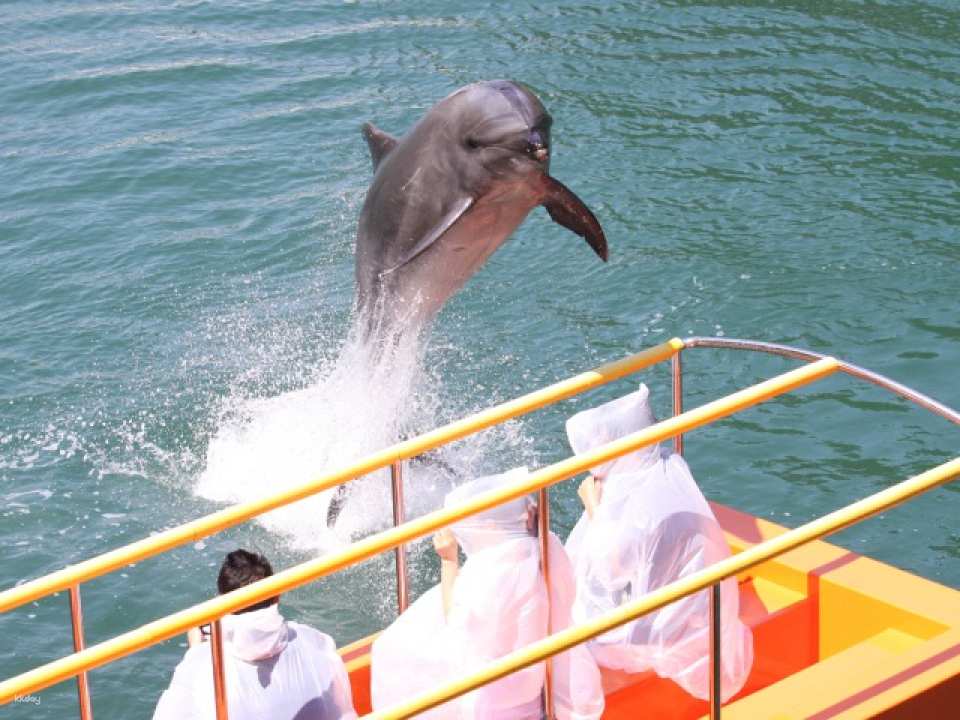 Shimoda Aquarium Admission Ticket｜Shizuoka, Japan