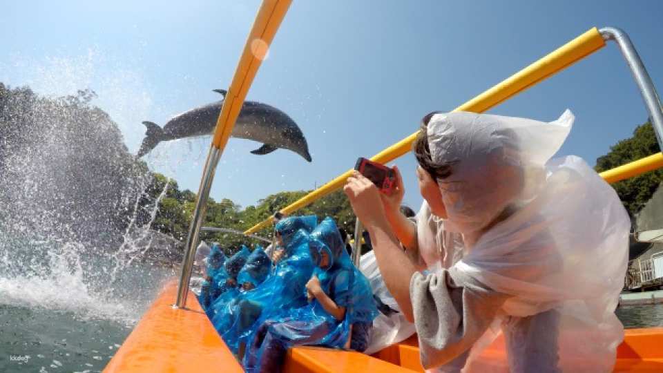 Shimoda Aquarium Admission Ticket｜Shizuoka, Japan