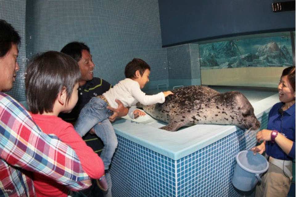 Shimoda Aquarium Admission Ticketď˝Shizuoka, Japan