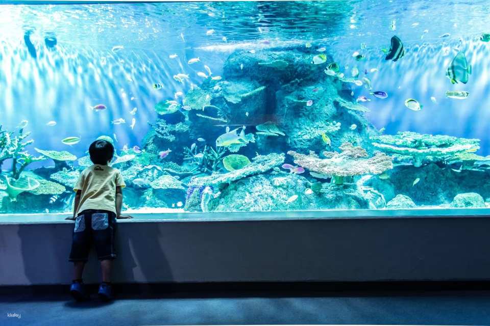Shinagawa Aquarium, Tokyo, Japan | Tickets
