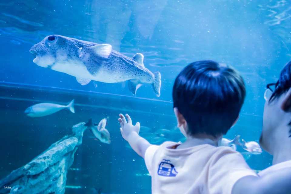 Shinagawa Aquarium, Tokyo, Japan | Tickets