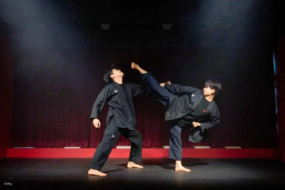 SHOW'S: Immersive Taekwondo Performance & Pub Night in Seoul