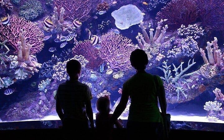 Side Aquarium and Fun Park Tour All Inclusive with Hotel Pickup Image 3