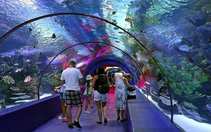 Side Aquarium and Fun Park Tour All Inclusive with Hotel Pickup Image 5