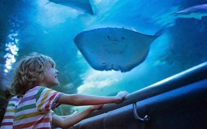 Side Aquarium and Fun Park Tour All Inclusive with Hotel Pickup Image 6