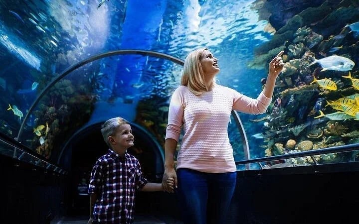 Side Aquarium and Fun Park Tour All Inclusive with Hotel Pickup Image 7