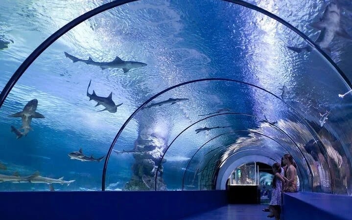 Side Aquarium and Fun Park Tour All Inclusive with Hotel Pickup Image 8