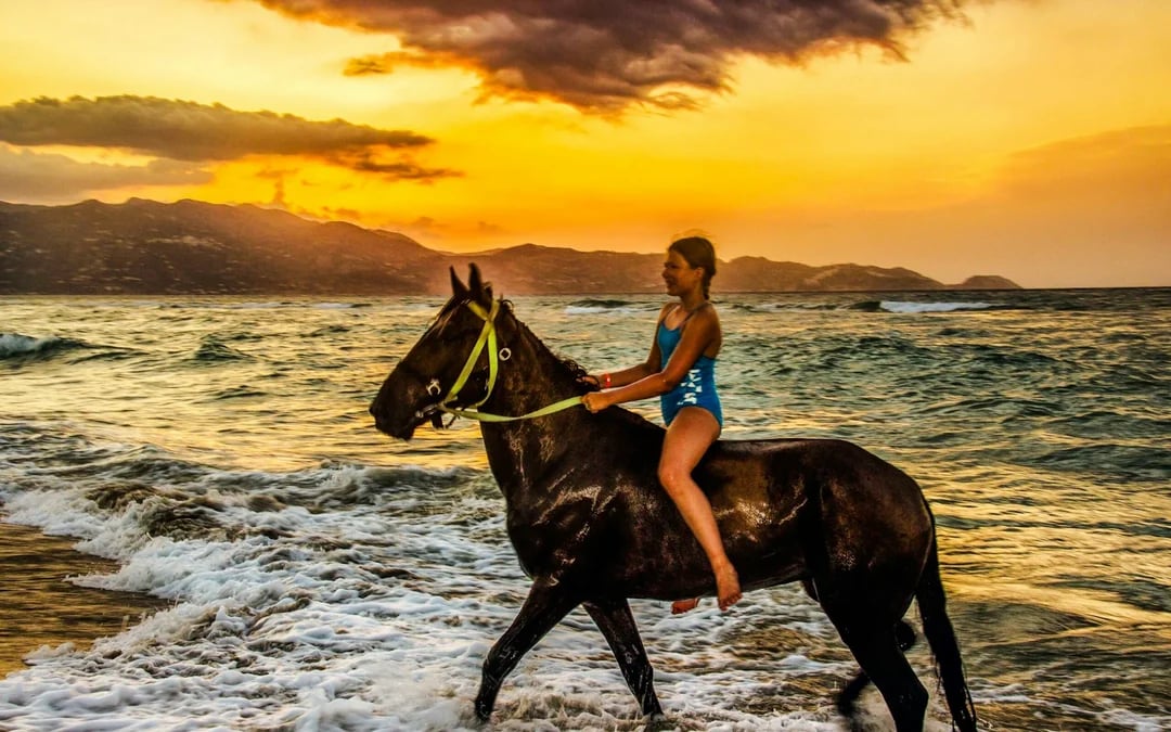 Side Beach and Forest Horseback Riding with Hotel Transfers Image 1
