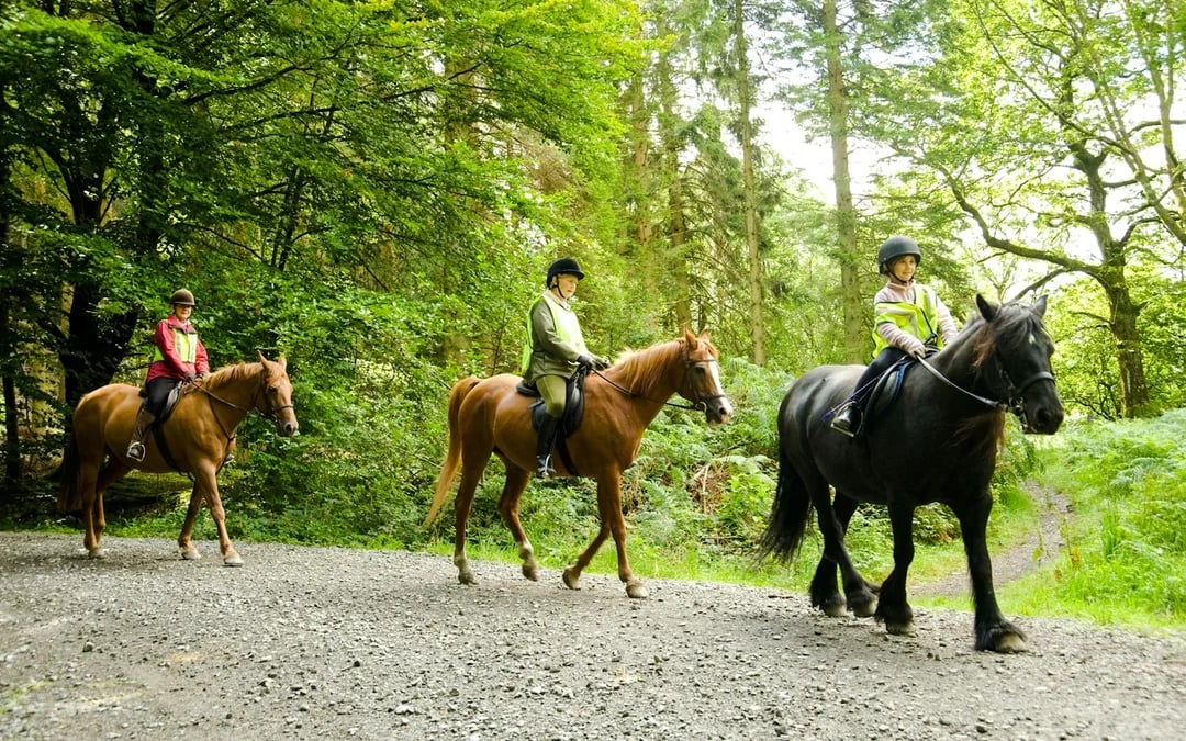 Side Beach and Forest Horseback Riding with Hotel Transfers Image 2