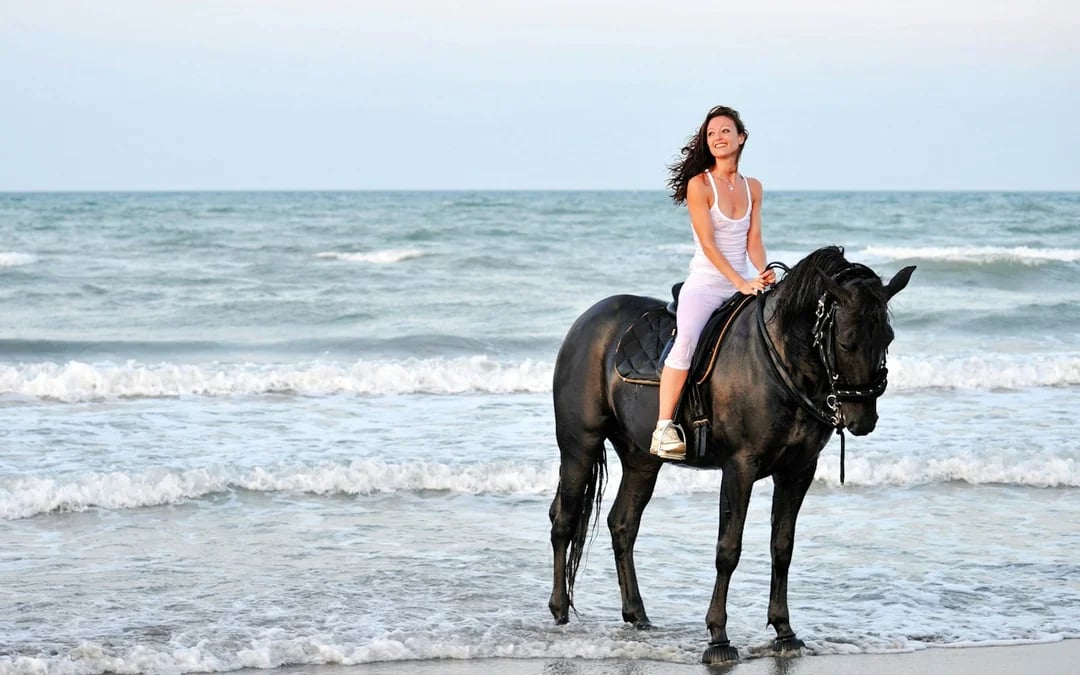 Side Beach and Forest Horseback Riding with Hotel Transfers Image 4