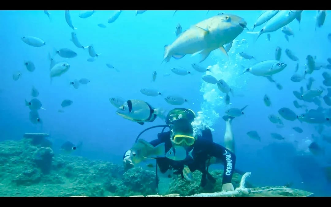 Side Scuba Diving at Side Underwater Museum with Hotel Transfers and Lunch Image 3
