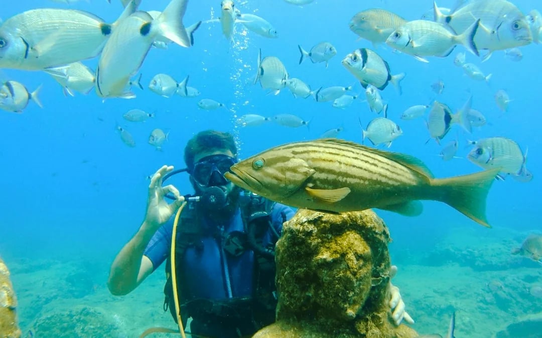 Side: Underwater Museum Guided Diving Tour with Lunch and Hotel Transfers Image 4